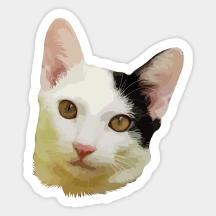 Funny cat face black and white Sticker